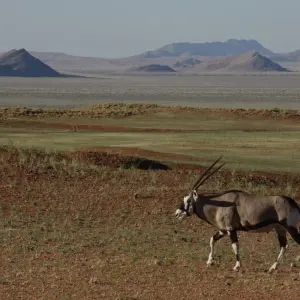 Explore 11 Days Namibia Experience Accommodated Tour for 11 days with Bluecrane Safaris Namibia and discover unforgettable experiences - Photo 8