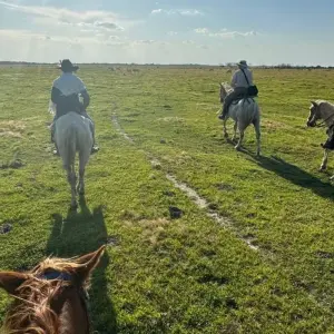 Explore 4 Days Living the Casanare Culture for 4 days with BnB Colombia Tours and discover unforgettable experiences - Photo 5