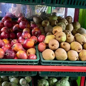 Explore 4 Days Medellin, Guatape, Coffee, and More for 4 days with BnB Colombia Tours and discover unforgettable experiences - Photo 6