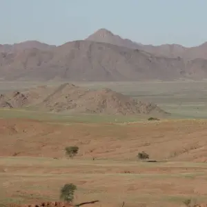 Explore 11 Days Namibia Experience Accommodated Tour for 11 days with Bluecrane Safaris Namibia and discover unforgettable experiences - Photo 9