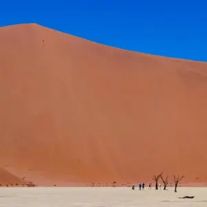 Explore 15 Days Namibia Highlights Accommodated Safari for 15 days with Bluecrane Safaris Namibia and discover unforgettable experiences - Photo 10