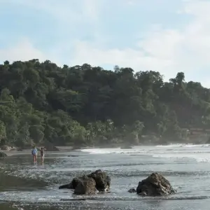 Explore The Pacific Coast Wilderness and Whale Watching for 4 days with BnB Colombia Tours and discover unforgettable experiences - Photo 5