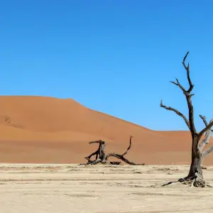 Explore 5 Days Sossusvlei & Coast Accommodated Tour for 5 days with Bluecrane Safaris Namibia and discover unforgettable experiences - Photo 10
