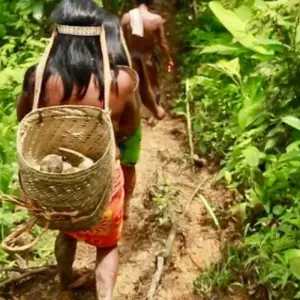 Explore Kipara-TE Indigenous for 3 days with BnB Colombia Tours and discover unforgettable experiences - Photo 5