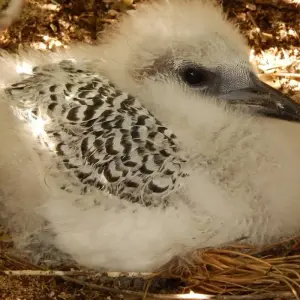 Explore Cultural and natural wealth of Madagascar for 11 days with Bio D Island LLC and discover unforgettable experiences - Photo 11