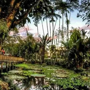 Explore 29 Day Complete Colombian Adventure - High-End: Over 50's Shared Tour for 29 days with BnB Colombia Tours and discover unforgettable experiences - Photo 7