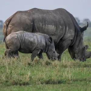 Explore 4 Day Garden Route Adventure for 4 days with Bokbus Garden Route Adventure Tours & Safaris and discover unforgettable experiences - Photo 8