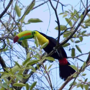 Explore 4 Days Santa Marta, Tayrona and Minca for 4 days with BnB Colombia Tours and discover unforgettable experiences - Photo 2