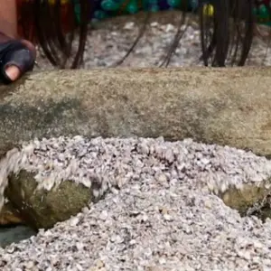 Explore Kipara-TE Indigenous for 3 days with BnB Colombia Tours and discover unforgettable experiences - Photo 6