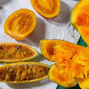 Explore 4 Days Medellin, Guatape, Coffee, and More for 4 days with BnB Colombia Tours and discover unforgettable experiences - Photo 8