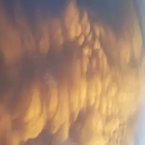 Explore 3-5 Days Caño Cristales, 7 Colored River for 5 days with BnB Colombia Tours and discover unforgettable experiences - Photo 8