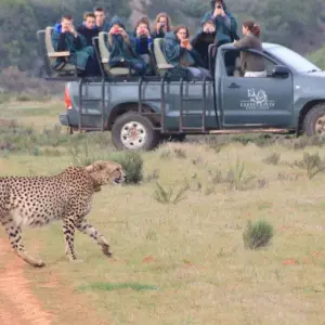 Explore 5 Day Garden Route Adventure Including Addo for 5 days with Bokbus Garden Route Adventure Tours & Safaris and discover unforgettable experiences - Photo 9