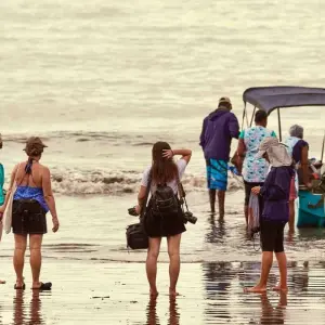 Explore The Pacific Coast Wilderness and Whale Watching for 4 days with BnB Colombia Tours and discover unforgettable experiences - Photo 7