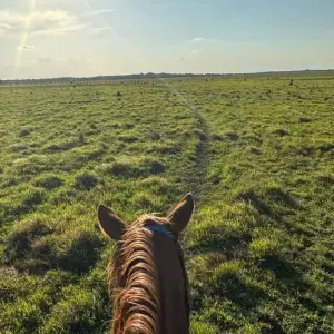 Explore 4 Days Living the Casanare Culture for 4 days with BnB Colombia Tours and discover unforgettable experiences - Photo 9
