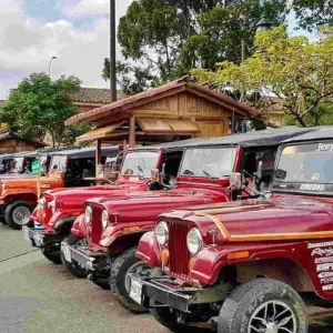 Explore 5 Days Traditional Coffee Zone for 5 days with BnB Colombia Tours and discover unforgettable experiences - Photo 3