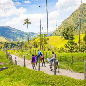 Explore 5 Days - Coffee Zone Off the Beaten Path for 5 days with BnB Colombia Tours and discover unforgettable experiences - Photo 3