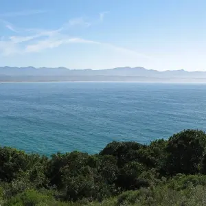 Explore 4 Day Garden Route Adventure for 4 days with Bokbus Garden Route Adventure Tours & Safaris and discover unforgettable experiences - Photo 11