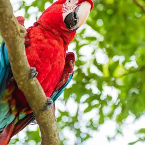 Explore 4 Days Living the Casanare Culture for 4 days with BnB Colombia Tours and discover unforgettable experiences - Photo 10