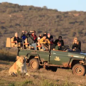 Explore 5 Day Garden Route Adventure Including Addo for 5 days with Bokbus Garden Route Adventure Tours & Safaris and discover unforgettable experiences - Photo 11