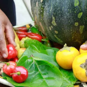 Explore The Pacific Coast Wilderness and Whale Watching for 4 days with BnB Colombia Tours and discover unforgettable experiences - Photo 9