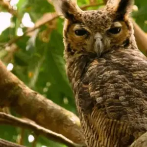 Explore 4 Days Living the Casanare Culture for 4 days with BnB Colombia Tours and discover unforgettable experiences - Photo 11