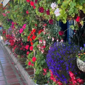 Explore 4 Days Medellin, Guatape, Coffee, and More for 4 days with BnB Colombia Tours and discover unforgettable experiences - Photo 11