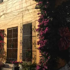 Explore 4 Days Cartagena Highlights for 4 days with BnB Colombia Tours and discover unforgettable experiences - Photo 5