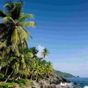 Explore 4 Days Capurgana and Turtles for 4 days with BnB Colombia Tours and discover unforgettable experiences - Photo 5