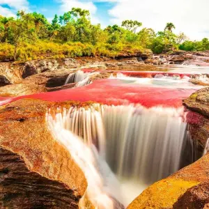 Explore 3-5 Days Caño Cristales, 7 Colored River for 5 days with BnB Colombia Tours and discover unforgettable experiences - Photo 11