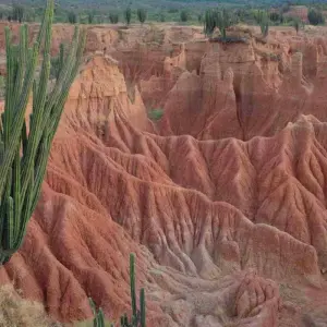 Explore 4 Days Tatacoa and Archeology for 4 days with BnB Colombia Tours and discover unforgettable experiences - Photo 6