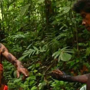 Explore Kipara-TE Indigenous for 3 days with BnB Colombia Tours and discover unforgettable experiences - Photo 10