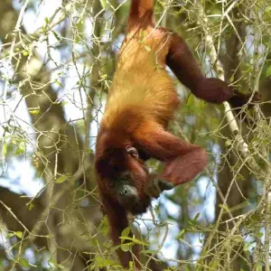 Explore 5 Days - Coffee Zone Off the Beaten Path for 5 days with BnB Colombia Tours and discover unforgettable experiences - Photo 5