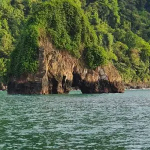 Explore The Pacific Coast Wilderness and Whale Watching for 4 days with BnB Colombia Tours and discover unforgettable experiences - Photo 11