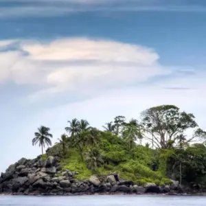 Explore 4 Days Capurgana and Turtles for 4 days with BnB Colombia Tours and discover unforgettable experiences - Photo 7