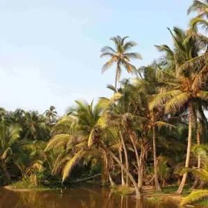 Explore 4 Days Santa Marta, Tayrona and Minca for 4 days with BnB Colombia Tours and discover unforgettable experiences - Photo 8