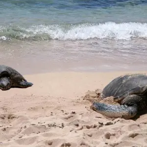 Explore 4 Days Capurgana and Turtles for 4 days with BnB Colombia Tours and discover unforgettable experiences - Photo 10