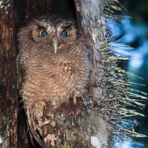 Explore 4  Days Wonders of the Amazon for 4 days with BnB Colombia Tours and discover unforgettable experiences - Photo 10