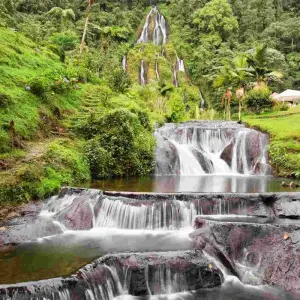 Explore 5 Days - Coffee Zone Off the Beaten Path for 5 days with BnB Colombia Tours and discover unforgettable experiences - Photo 10