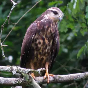 Explore 15 Days Colombian History, High-End: Over 50 Shared Tour for 15 days with BnB Colombia Tours and discover unforgettable experiences - Photo 4