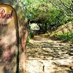 Explore 13 Day Heart & Soul Of Colombia – High-End: Over 50 Shared Tour for 13 days with BnB Colombia Tours and discover unforgettable experiences - Photo 5