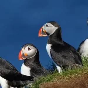 Explore Corners of Southern Ireland for 7 days with Blue-Roads Touring and discover unforgettable experiences - Photo 2