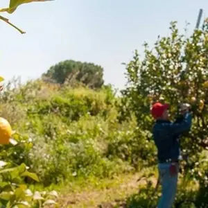 Explore Enchanting Southern Italy for 8 days with Blue-Roads Touring and discover unforgettable experiences - Photo 4