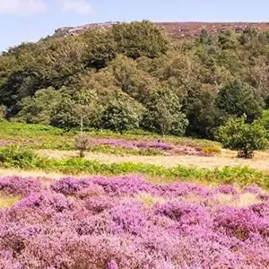 Explore Enchanting Eastern England for 10 days with Blue-Roads Touring and discover unforgettable experiences - Photo 8