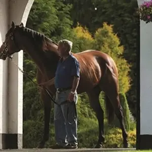 Explore Corners of Southern Ireland for 7 days with Blue-Roads Touring and discover unforgettable experiences - Photo 8