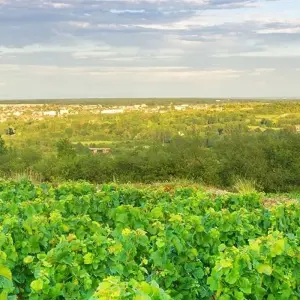 Explore Paris to Nice Through Vineyards and Mountains for 12 days with Blue-Roads Touring and discover unforgettable experiences - Photo 2