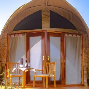 Explore Budget Accommodation in Masai Mara Safari 3 Days - Cheap Sandcastle Masai Mara Hotels Vacation for 3 days with Bonvoyage Kenya Safaris and discover unforgettable experiences - Photo 4