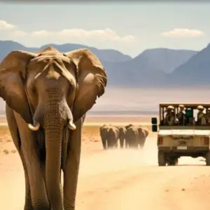 Explore Budget Accommodation in Masai Mara Safari 3 Days - Cheap Sandcastle Masai Mara Hotels Vacation for 3 days with Bonvoyage Kenya Safaris and discover unforgettable experiences - Photo 5