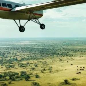 Explore Affordable 4-Day Budget Luxury Masai Mara Fly-in safari (from Nairobi Airport) for 4 days with Bonvoyage Kenya Safaris and discover unforgettable experiences - Photo 8