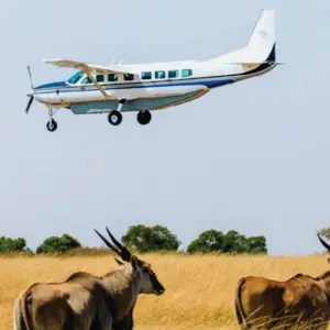 Explore Affordable 4-Day Budget Luxury Masai Mara Fly-in safari (from Nairobi Airport) for 4 days with Bonvoyage Kenya Safaris and discover unforgettable experiences - Photo 10