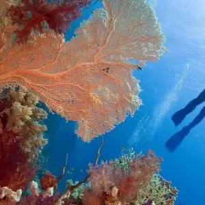 Explore 8 Days Cairo, Luxor & Sharm El Sheikh trip for 8 days with Booking To Egypt and discover unforgettable experiences - Photo 10